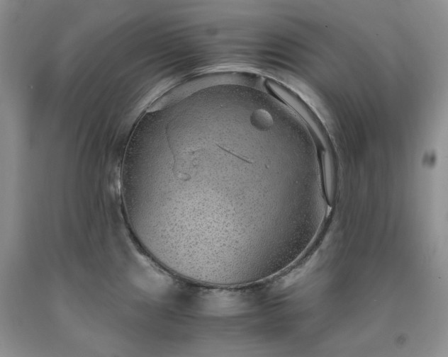 X0000091961241200709201337