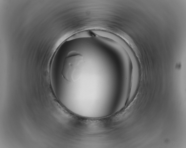 X0000091961242200709201337