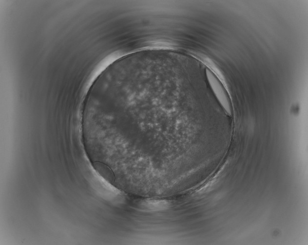 X0000091961243200709201337