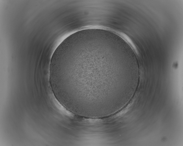 X0000091961244200709201337