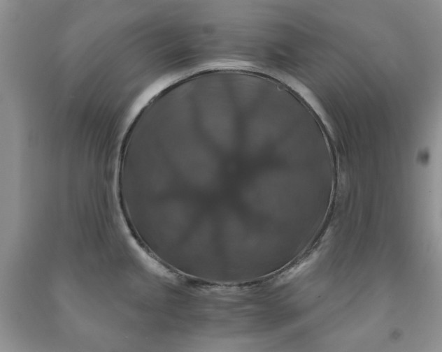 X0000091961245200709201337