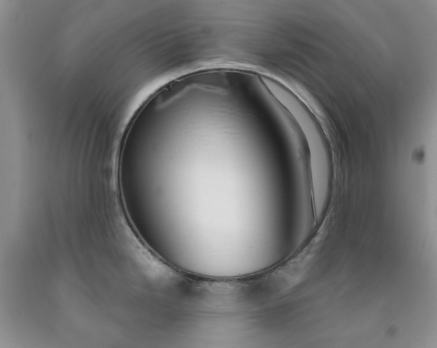 X0000091961246200709201337