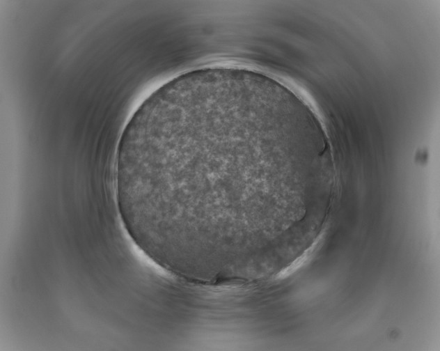 X0000091961247200709201337