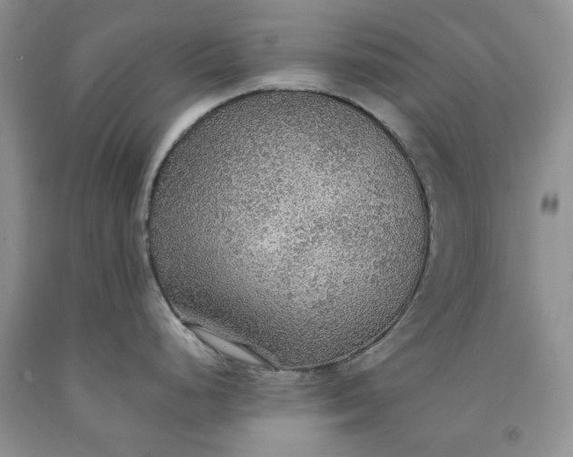 X0000091961248200709201337