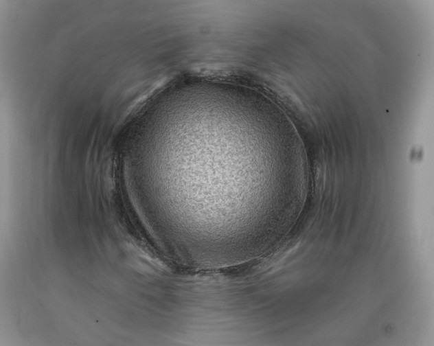 X0000091961250200709201336