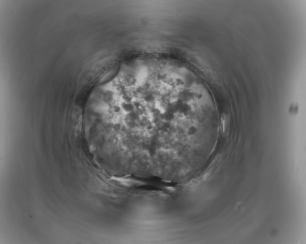 X0000091961251200709201336