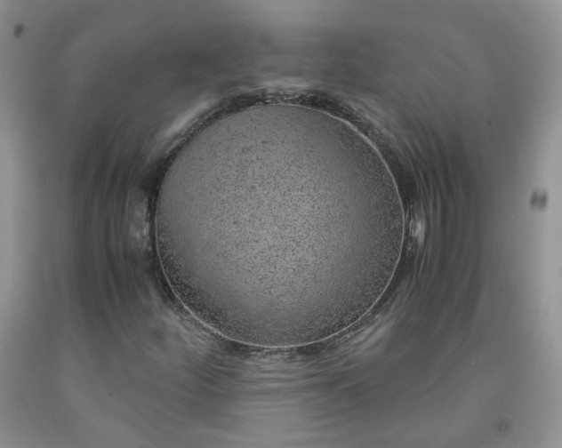 X0000091961252200709201336