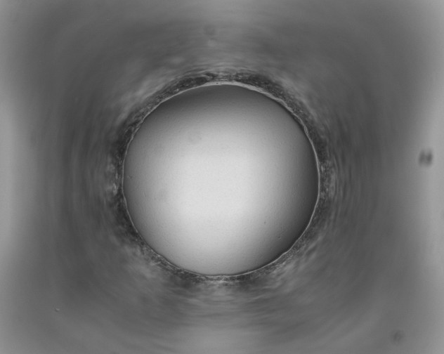 X0000091961253200709201336