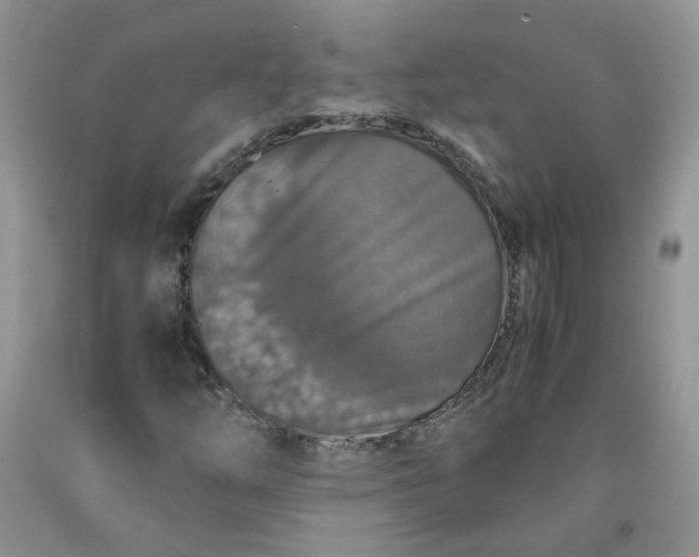 X0000091961254200709201336