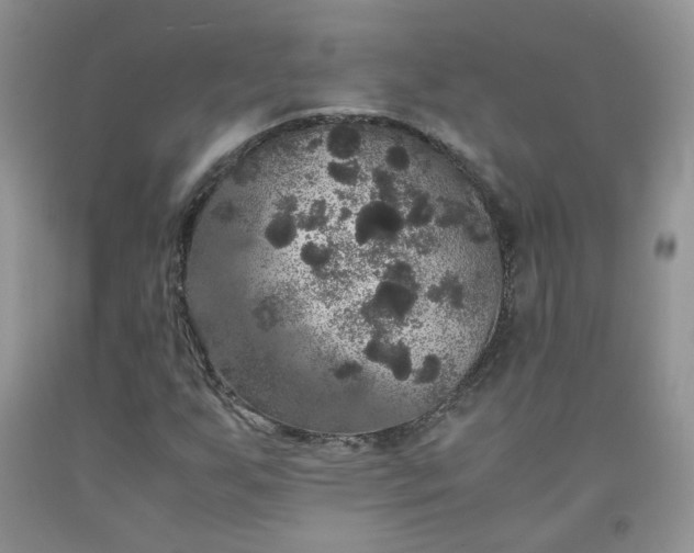 X0000091961255200709201336