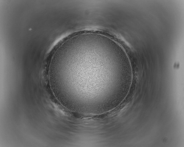 X0000091961256200709201336