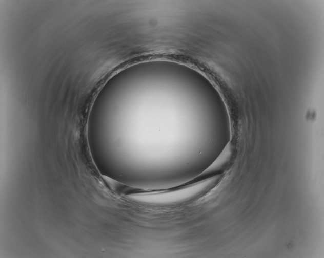 X0000091961257200709201336