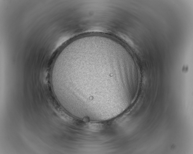 X0000091961258200709201336