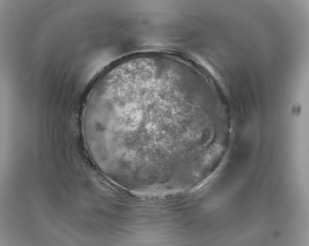 X0000091961259200709201336