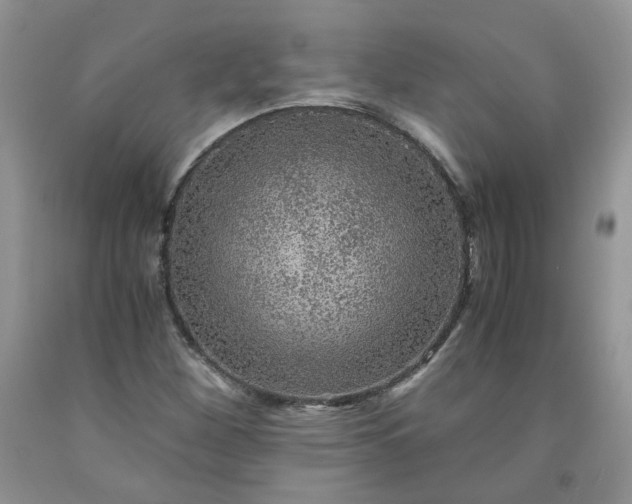 X0000091961260200709201336