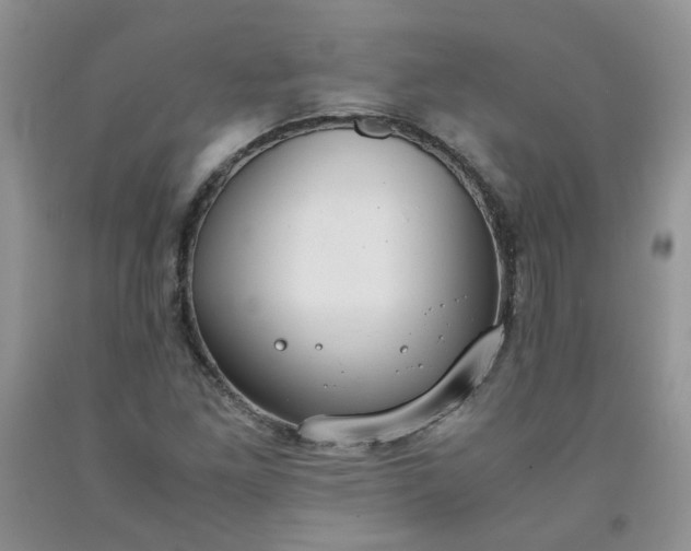 X0000091961261200709201336