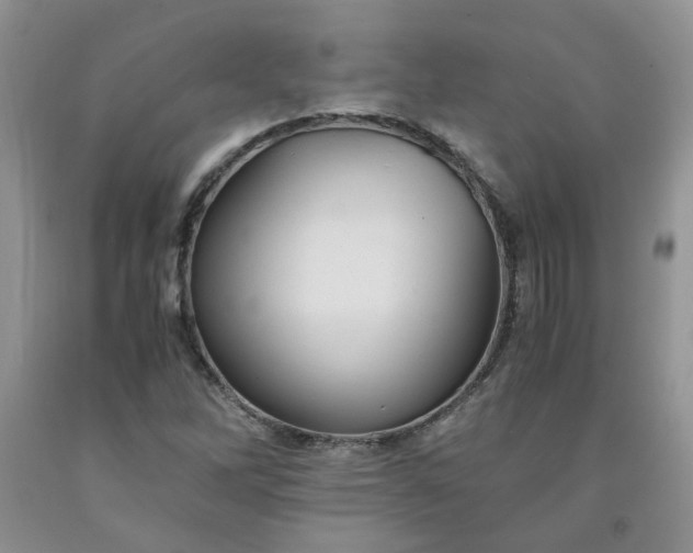 X0000091961262200709201336