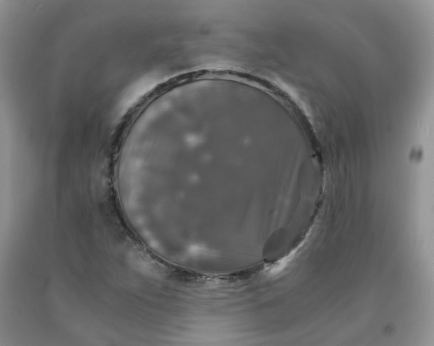 X0000091961263200709201336