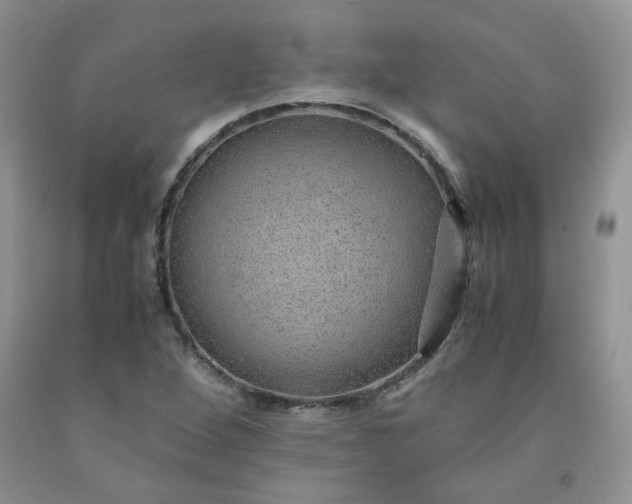 X0000091961264200709201336