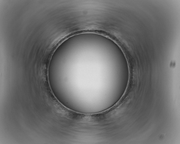 X0000091961265200709201336