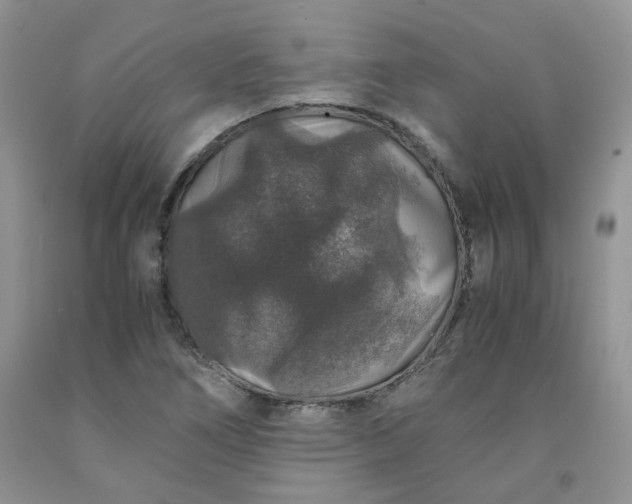 X0000091961266200709201336