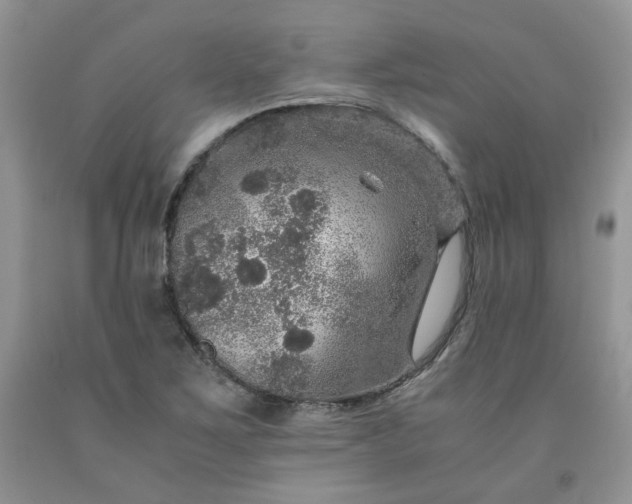 X0000091961267200709201336