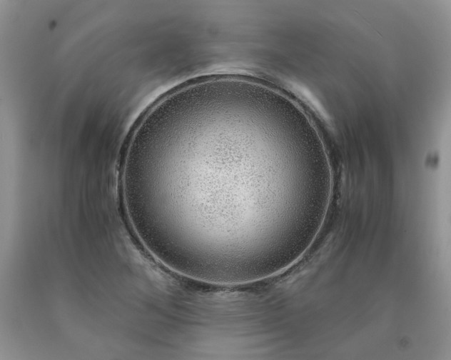 X0000091961268200709201336