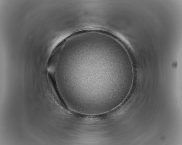 X0000091961269200709201336