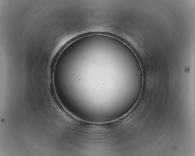 X0000091961270200709201336