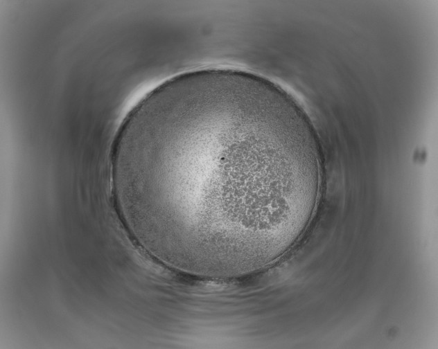 X0000091961271200709201336