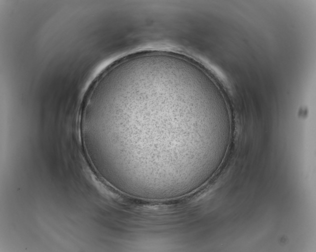 X0000091961272200709201336