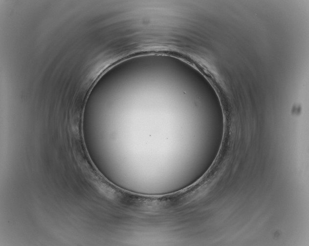 X0000091961273200709201336