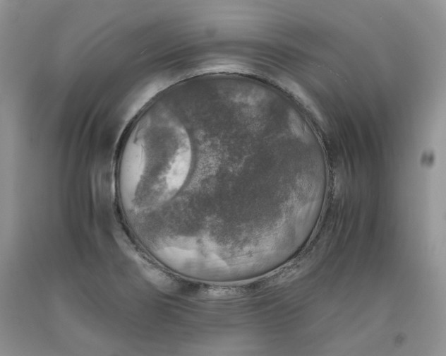 X0000091961274200709201336