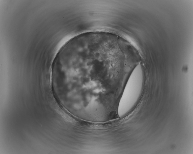 X0000091961275200709201336