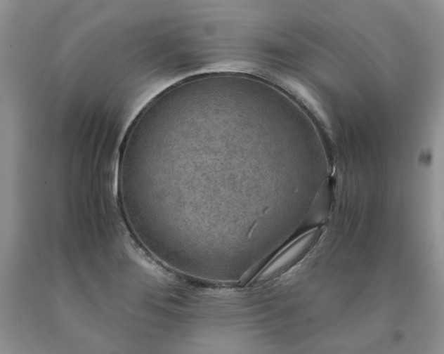 X0000091961276200709201336