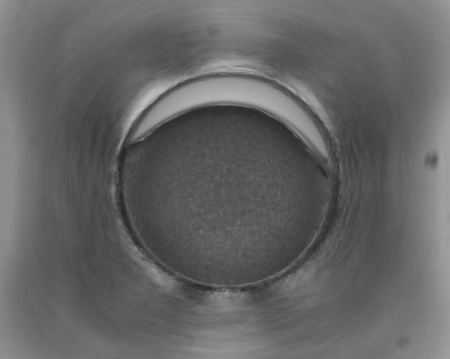 X0000091961277200709201336