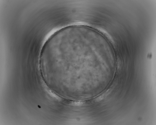 X0000091961278200709201336