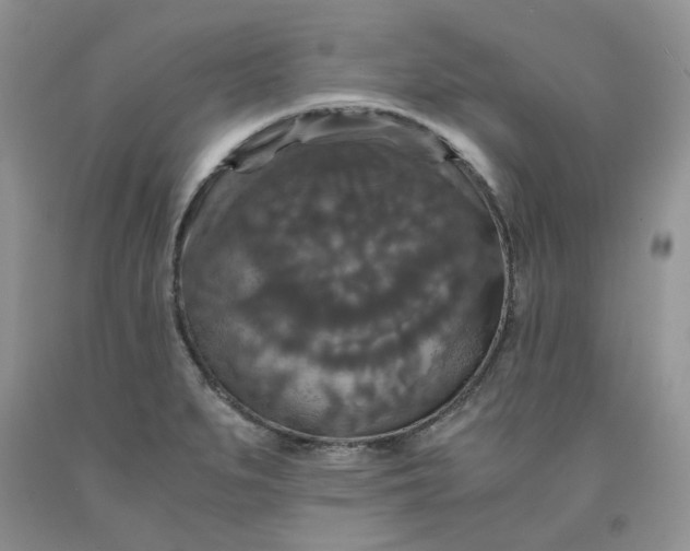 X0000091961279200709201336