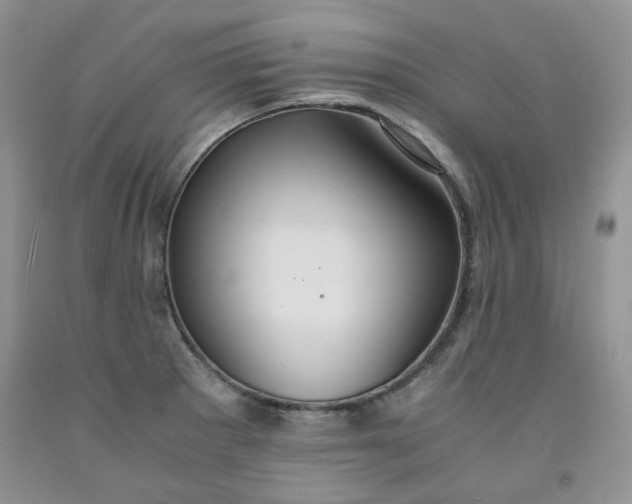 X0000091961281200709201336