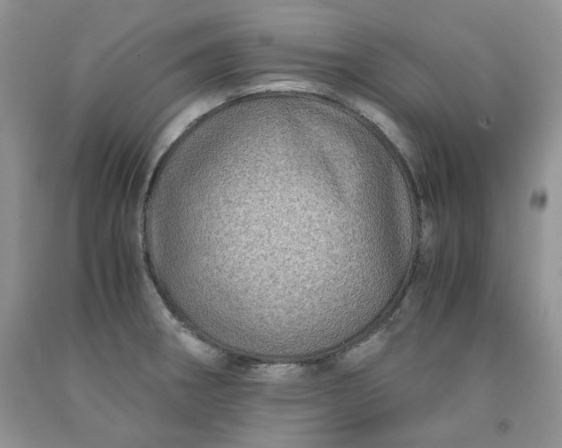 X0000091961282200709201336