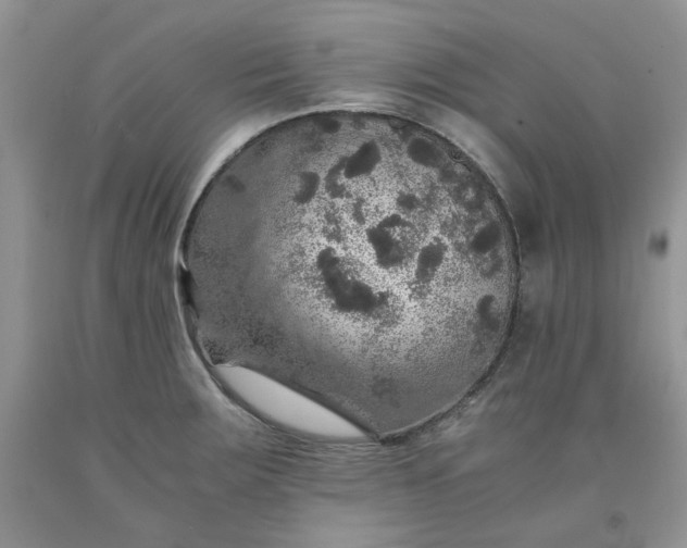 X0000091961283200709201336