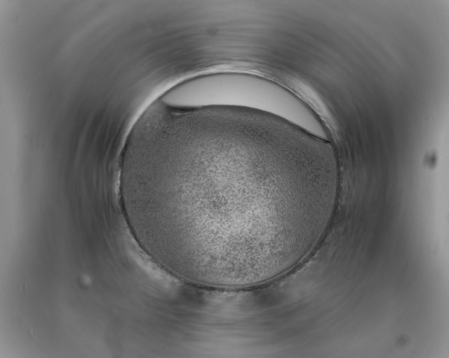 X0000091961284200709201336