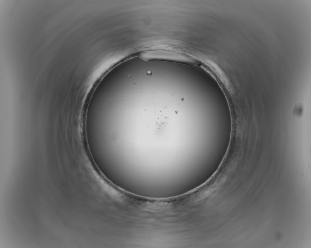 X0000091961285200709201336