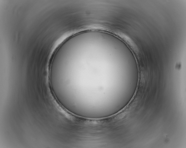 X0000091961286200709201336