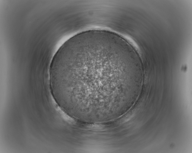 X0000091961287200709201336