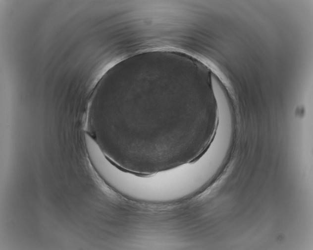 X0000091961289200709201336