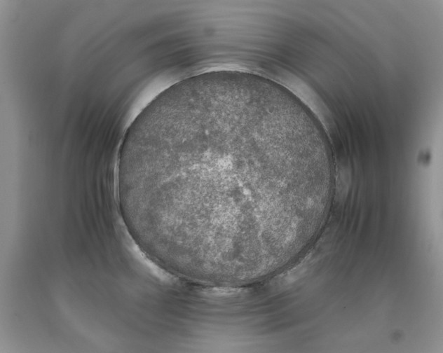 X0000091961290200709201336