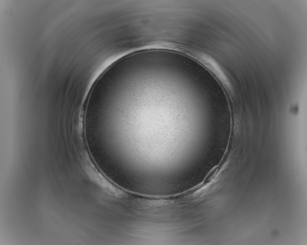 X0000091961292200709201336