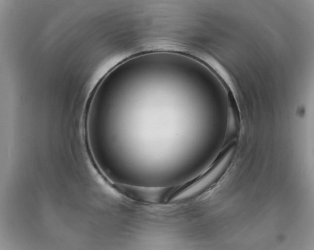 X0000091961293200709201336