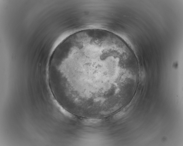 X0000091961294200709201336